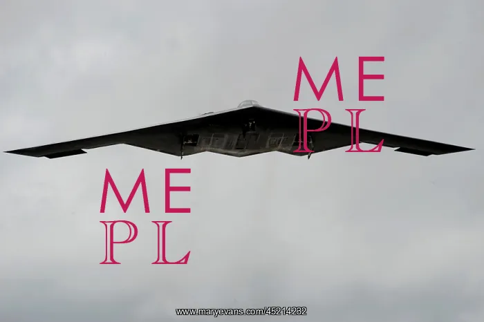 : B-2 heavy bomber was designed with stealth ? : B-2 heavy bomber was designed with stealth ?
