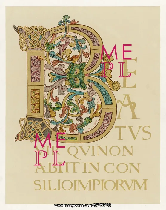 : B FROM A MS PSALTER : B FROM A MS PSALTER