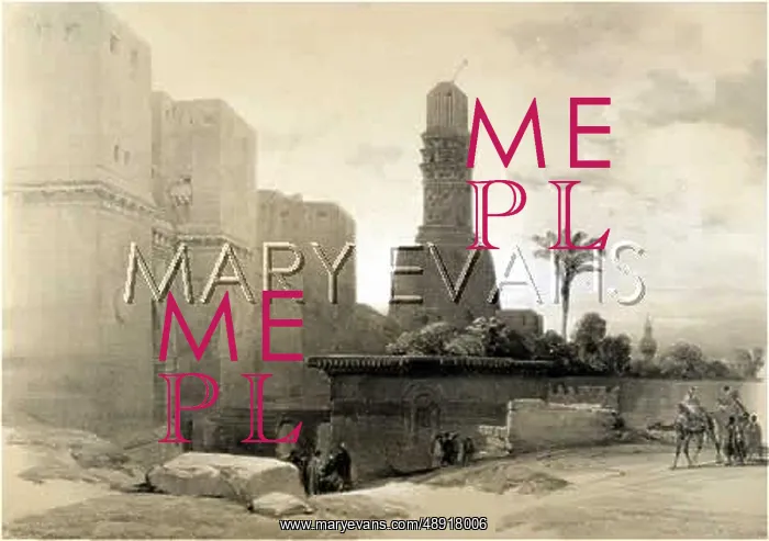 : BAB EN NASR / CAIRO : BAB EN NASR / CAIRO