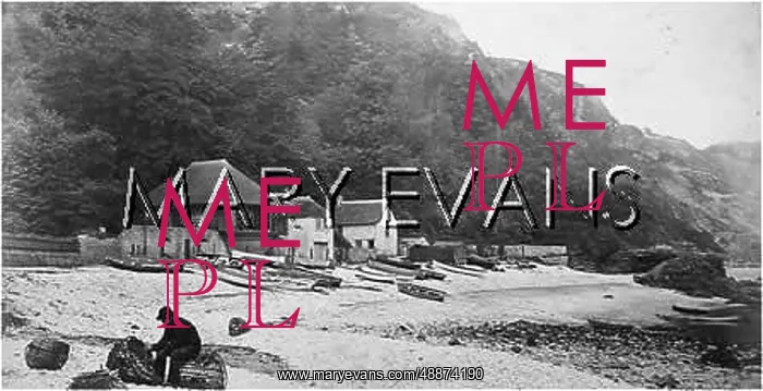 : BABBACOMBE 1890 : BABBACOMBE 1890