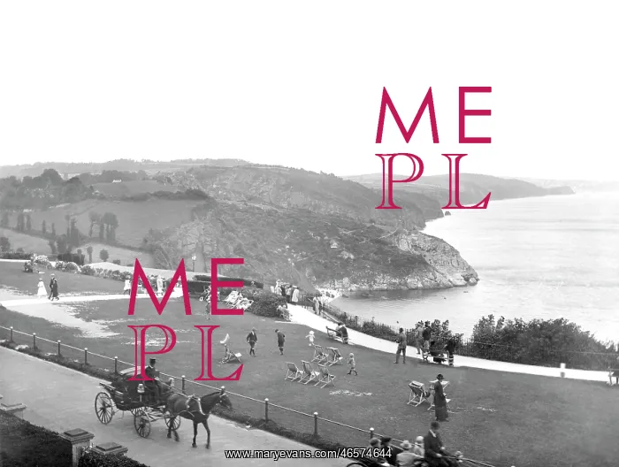  : Babbacombe, the Downs 1924