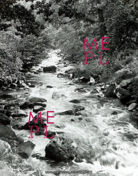  : Babbling brook, North Wales