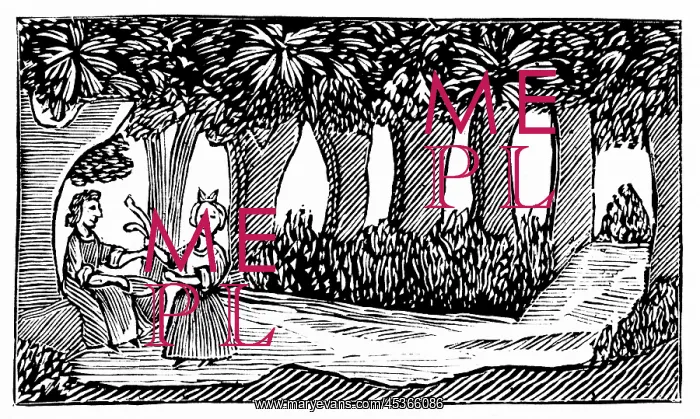  : Babes in the wood