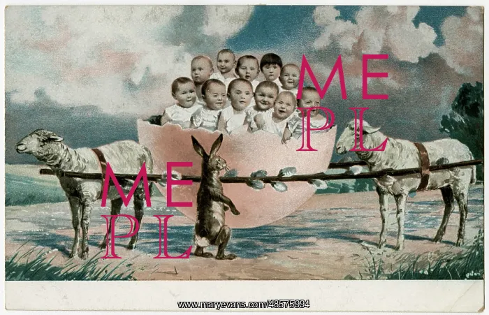  : Babies in a broken eggshell
