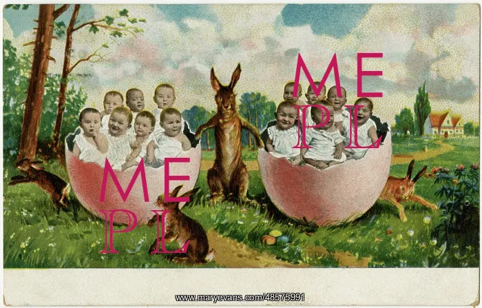  : Babies in broken eggshells