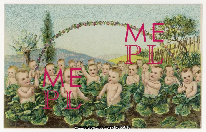  : BABIES IN CABBAGE PATCH