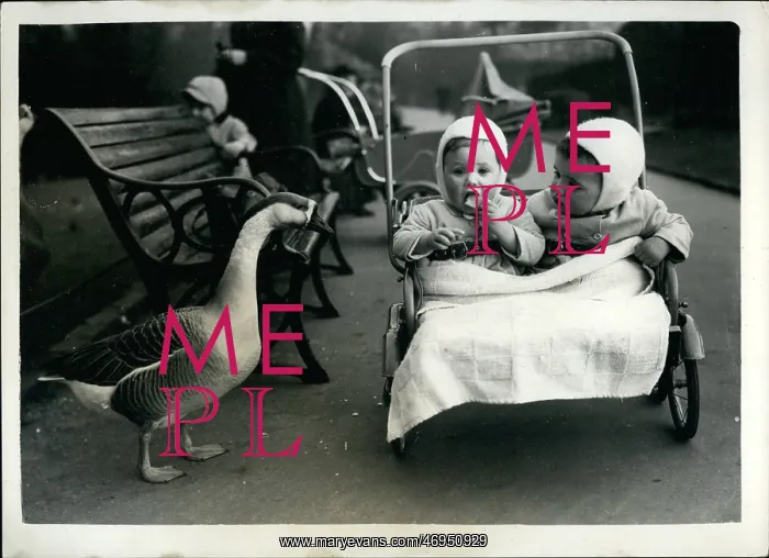 : Babies - Children - Multiple Births : Babies - Children - Multiple Births