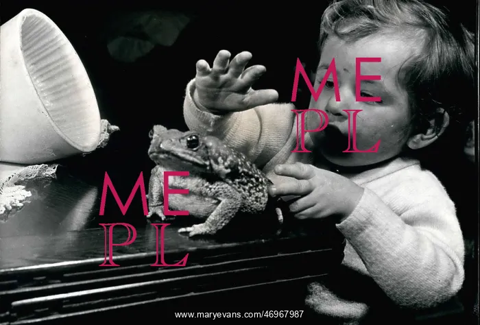 : Babies - Children - Multiple Births : Babies - Children - Multiple Births