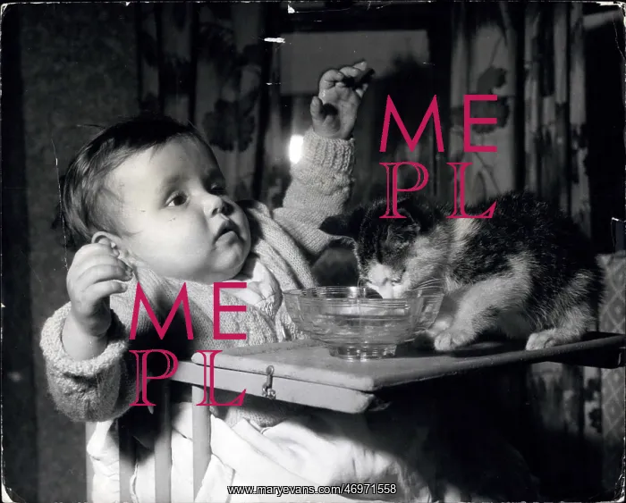 : Babies - Children - Multiple Births : Babies - Children - Multiple Births