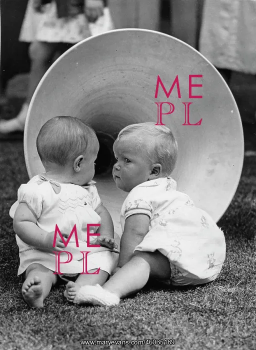 : Babies in front a horn : Babies in front a horn