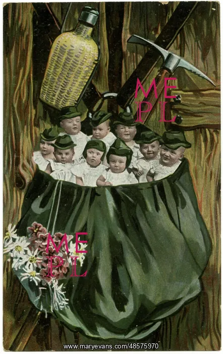  : Babies in a large bag with flowers