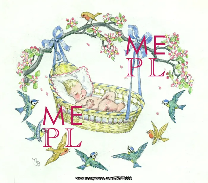 : A baby in a basket hanging from a tree : A baby in a basket hanging from a tree