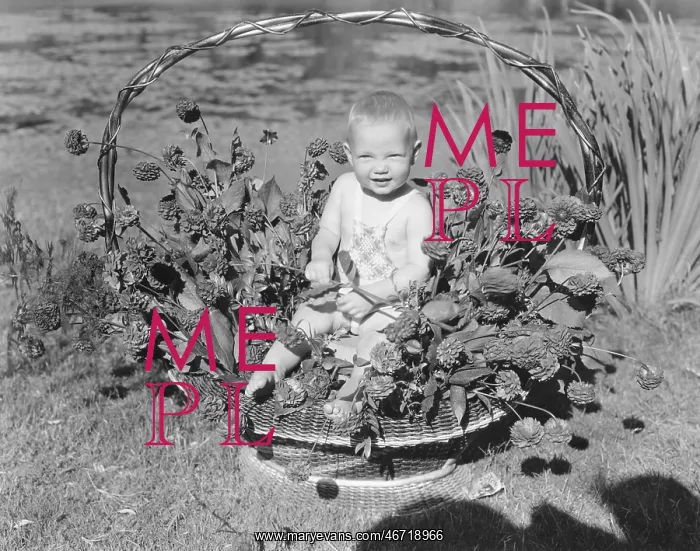 : Baby bouquet : Baby bouquet