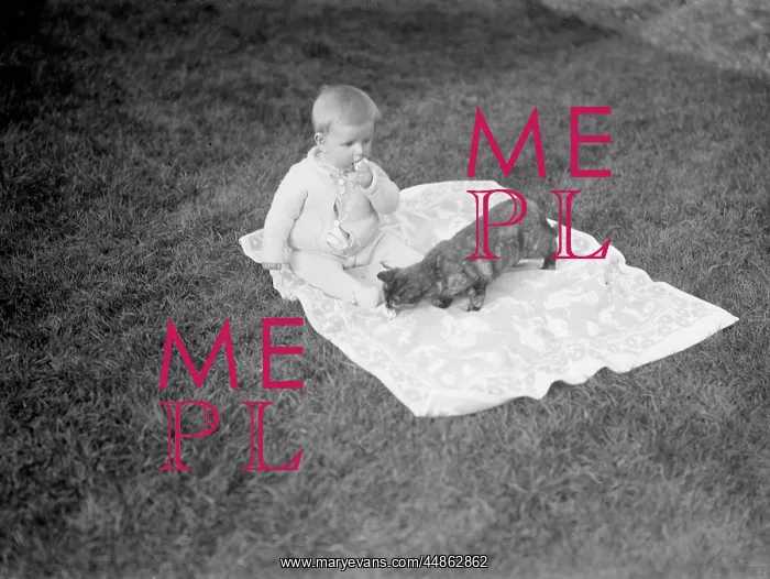 : BABY AND CAT