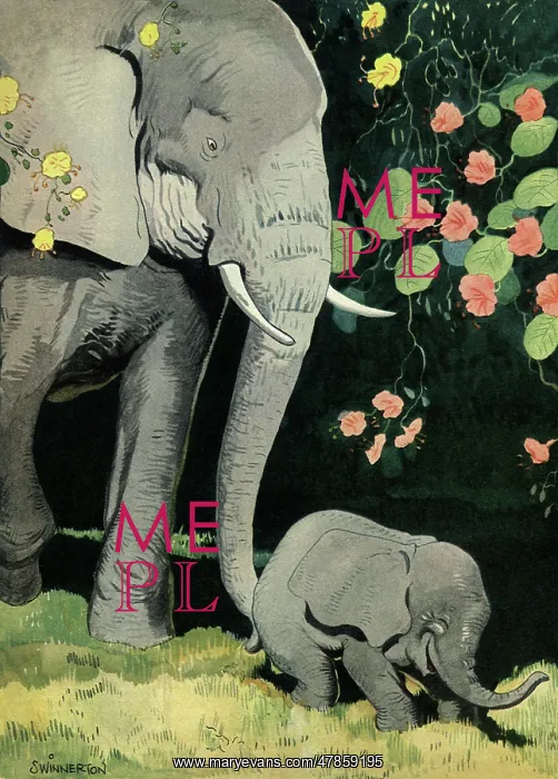 : Baby Elephant Walk : Baby Elephant Walk