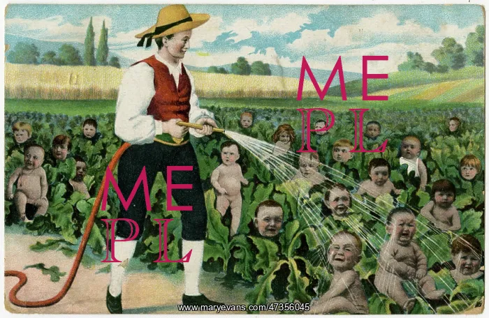  : BABY-FARMING