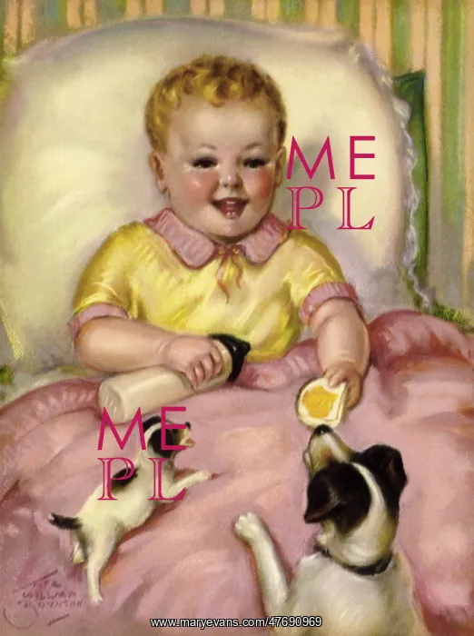  : Baby Feeds Dogs
