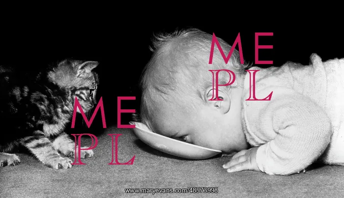  : Baby and Kitten
