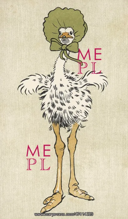  : BABY OSTRICH ALDIN 1907