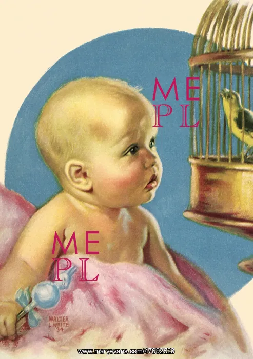  : Baby and Parakeet