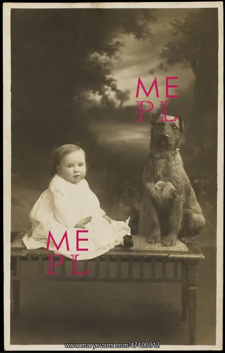 : BABY AND PET DOG : BABY AND PET DOG