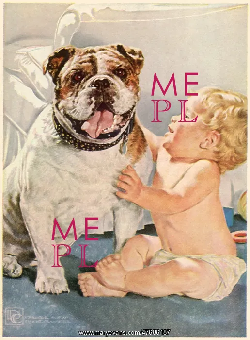 : Baby Petting Bulldog : Baby Petting Bulldog