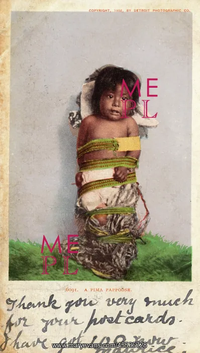 : Baby Pima Indian in a Pappoose : Baby Pima Indian in a Pappoose
