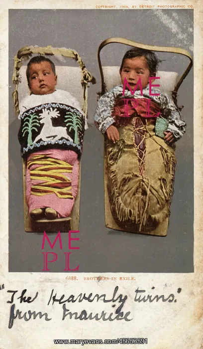 : Baby Pima Indians in Pappooses : Baby Pima Indians in Pappooses