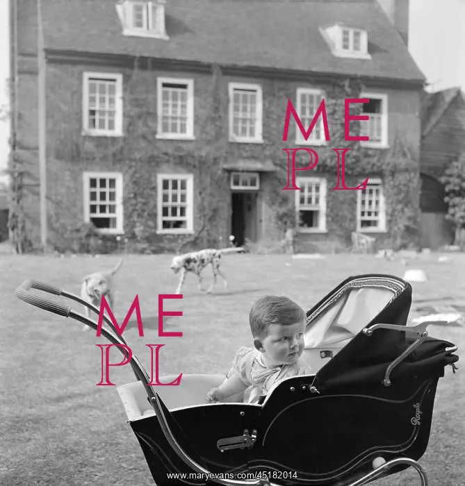 : Baby In A Pram : Baby In A Pram