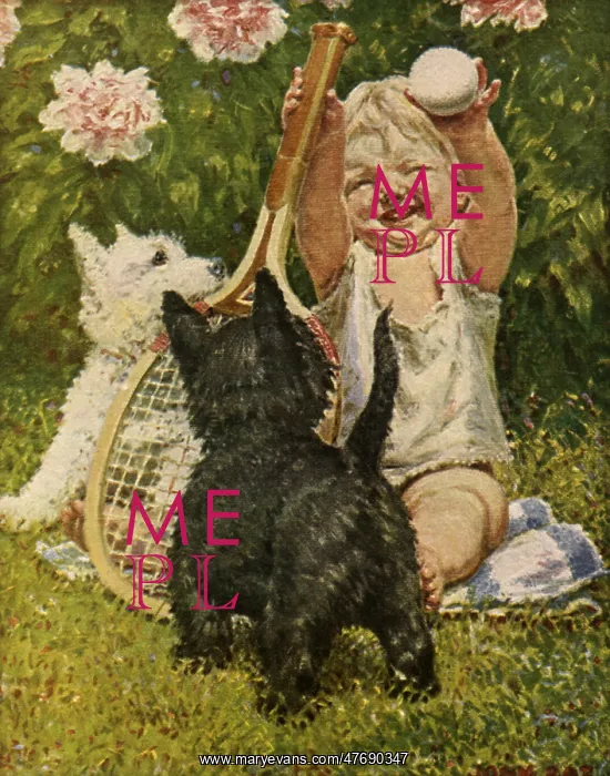  : Baby with Two Puppies