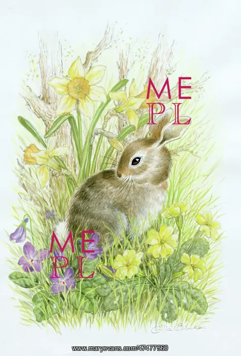  : Baby rabbit with daffodils violets and primroses