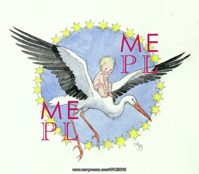  : A baby riding a stork