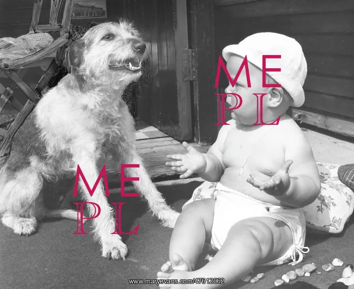 : Baby at seaside with dog : Baby at seaside with dog