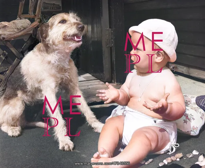 : Baby at seaside with dog : Baby at seaside with dog