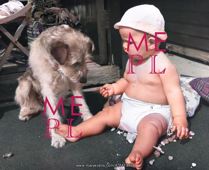 : Baby at seaside with dog : Baby at seaside with dog