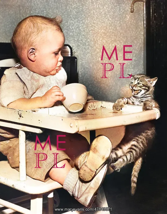 : Baby sitting in a high chair looking at a cat : Baby sitting in a high chair looking at a cat