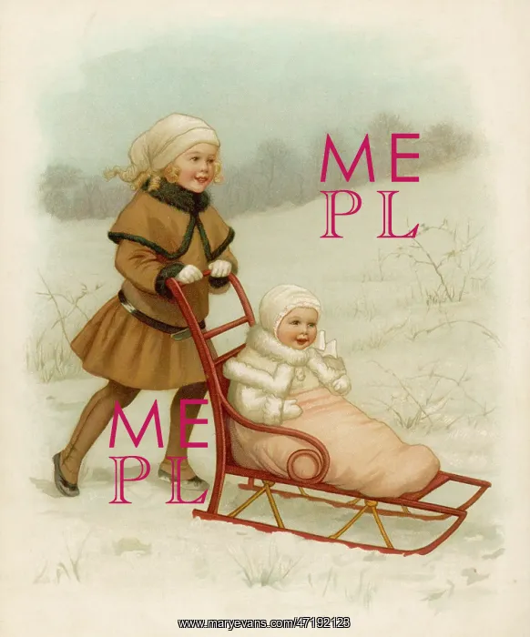  : Baby in Sledge