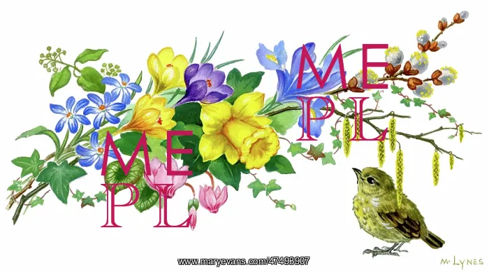 : Baby Thrush and spray of spring flowers : Baby Thrush and spray of spring flowers