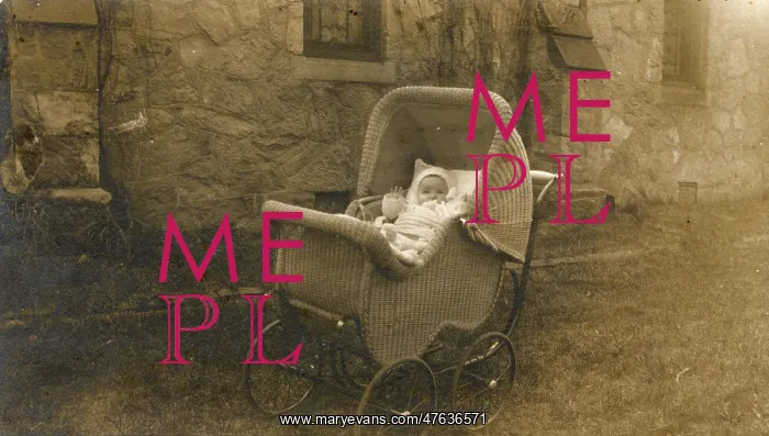 : Baby in a wickerwork pram, Delaware, USA : Baby in a wickerwork pram, Delaware, USA