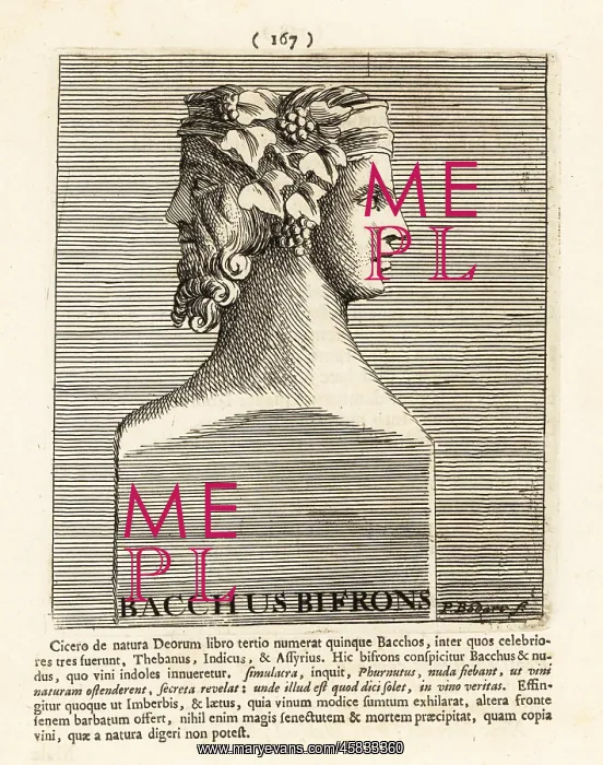 : Bacchus Bifrons, with two heads facing in opposite : Bacchus Bifrons, with two heads facing in opposite