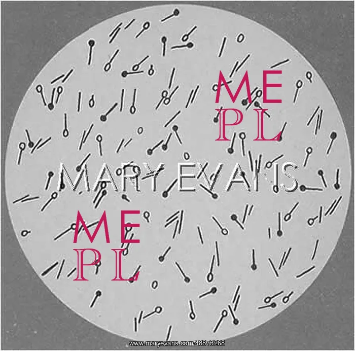  : BACILLUS OF TETANUS