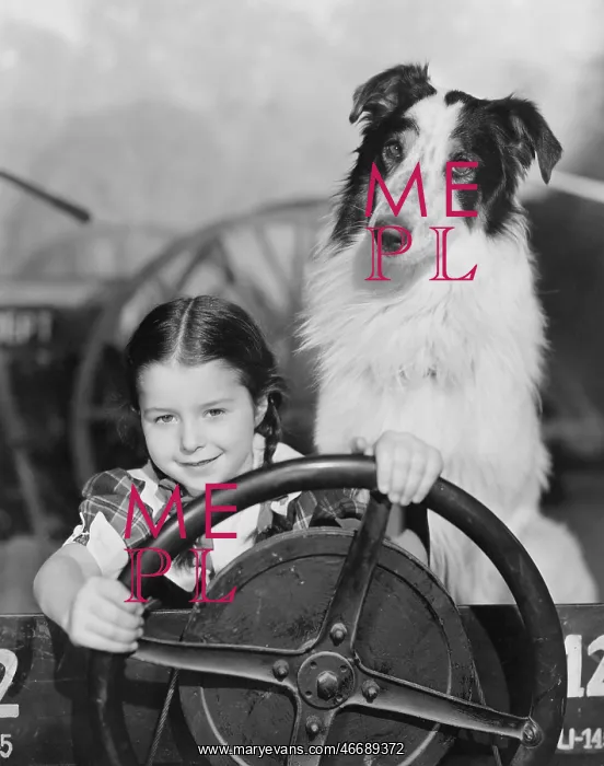 : BACKSEAT DRIVER : BACKSEAT DRIVER