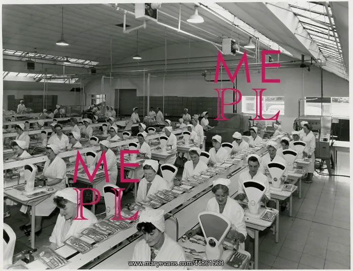 : BACON FACTORY 1960S : BACON FACTORY 1960S