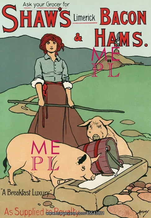 : Bacon and Ham Advert : Bacon and Ham Advert