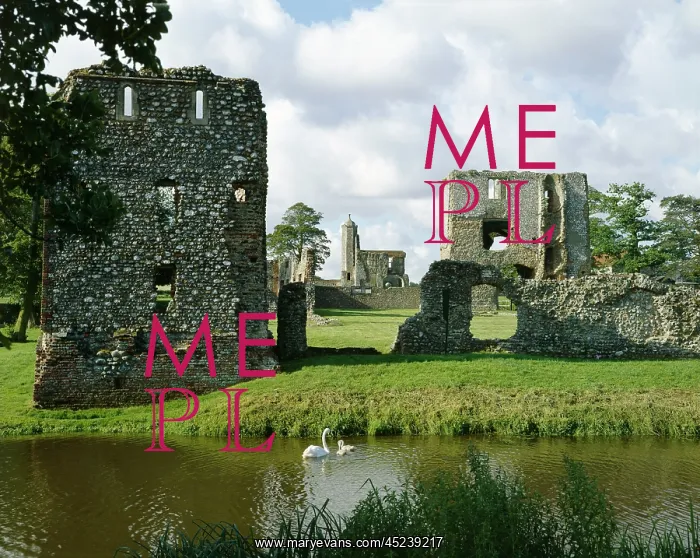 : Baconsthorpe Castle : Baconsthorpe Castle