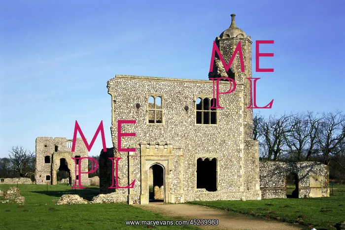 : Baconsthorpe Castle : Baconsthorpe Castle