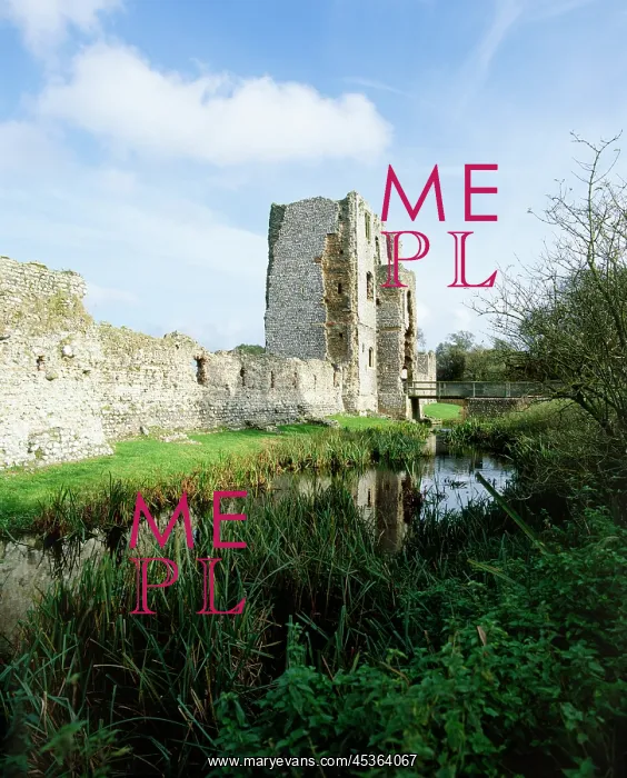 : Baconsthorpe Castle : Baconsthorpe Castle