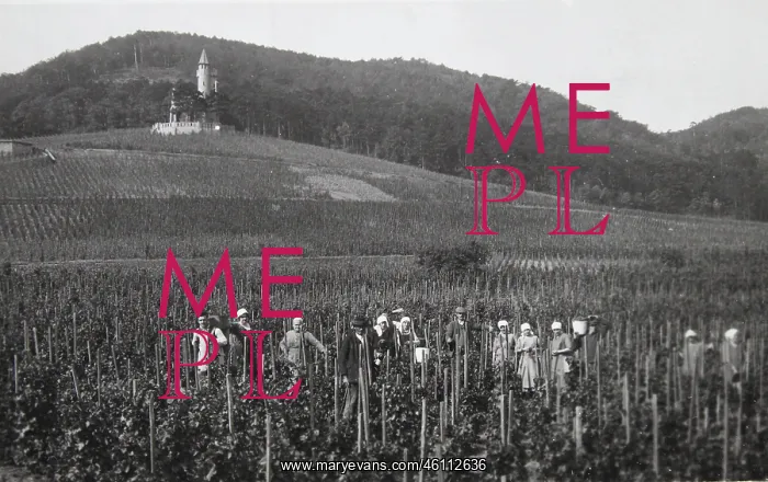 : Bad Voslau - The wine estate of Robert : Bad Voslau - The wine estate of Robert