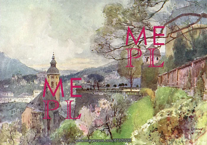  : BADEN BADEN / FROM CASTLE