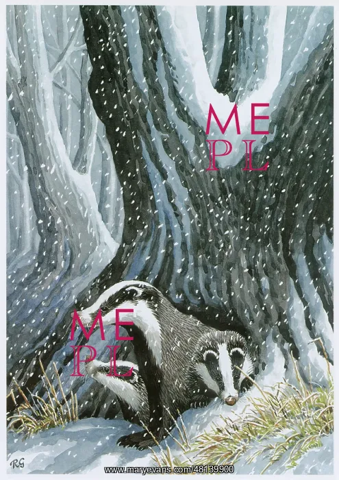  : Badgers